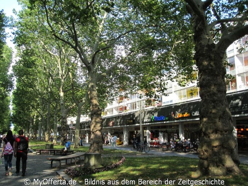 Hauptstraße in Dresden im Sommer 2019