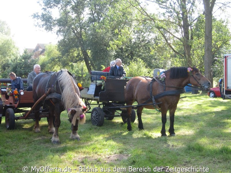 Am 2. September 2012 fand das kommunale Erntefest fand in ?wietlino in Kaschuben statt.