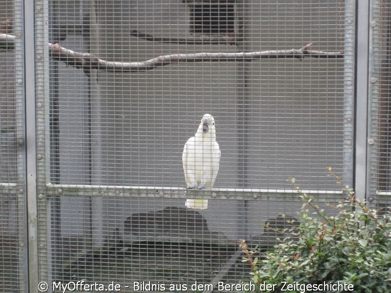 Vogelpark Linkenheim am 28.10.2019