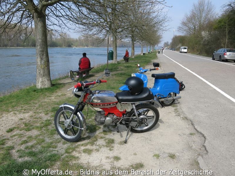 Ein Tag vor dem Frühling am Rhein in Leopoldshafen