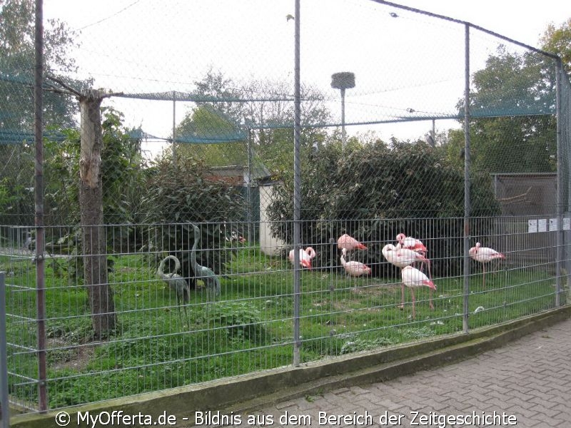 Vogelpark Linkenheim am 28.10.2019