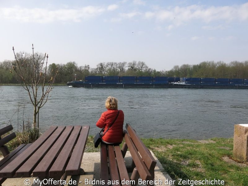 Ein Tag vor dem Frühling am Rhein in Leopoldshafen