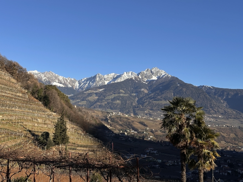 Wein und Genuss (Wein-Image.de)