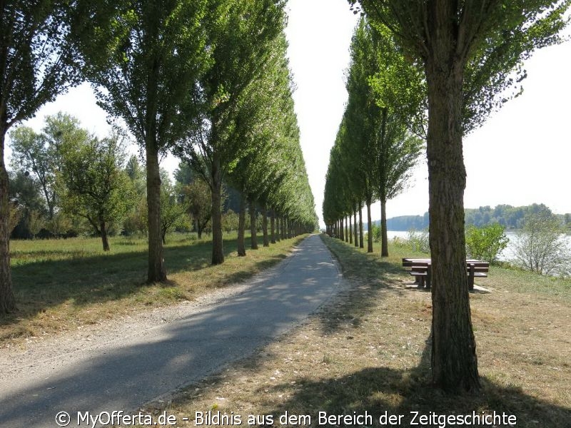 Insel Rott und der Rhein im Westen Deutschlands am 22.09.2020