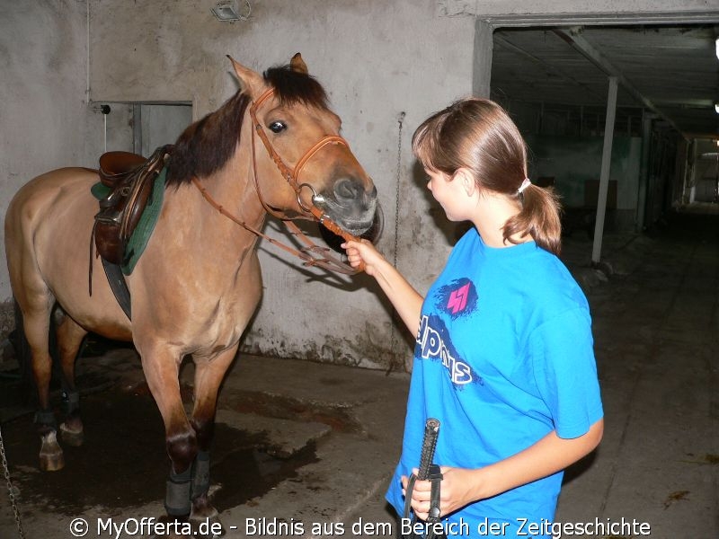 Um ein guter Tierarzt zu sein, muss man Tiere lieben