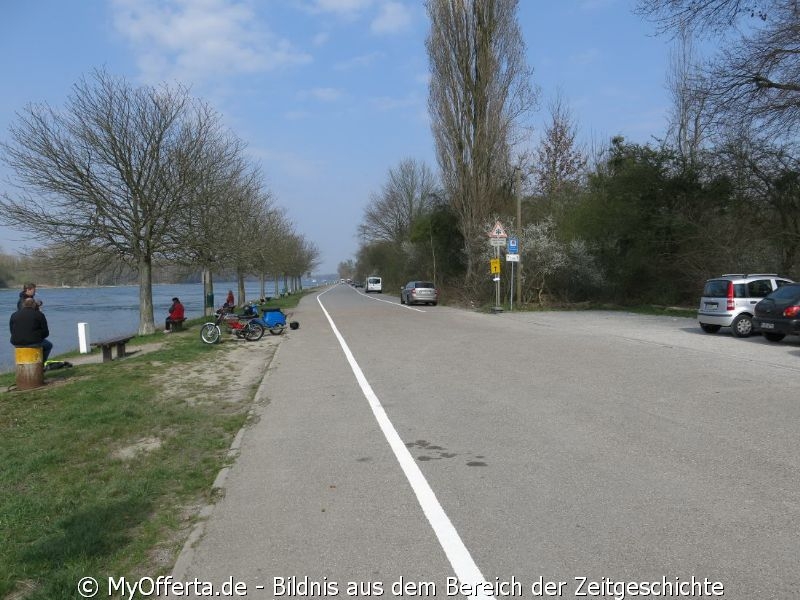 Ein Tag vor dem Frühling am Rhein in Leopoldshafen