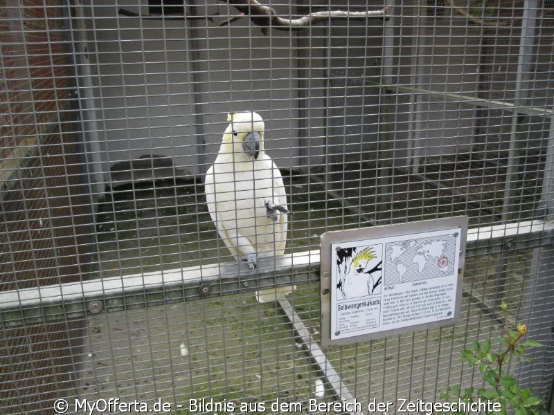 Vogelpark Linkenheim am 28.10.2019