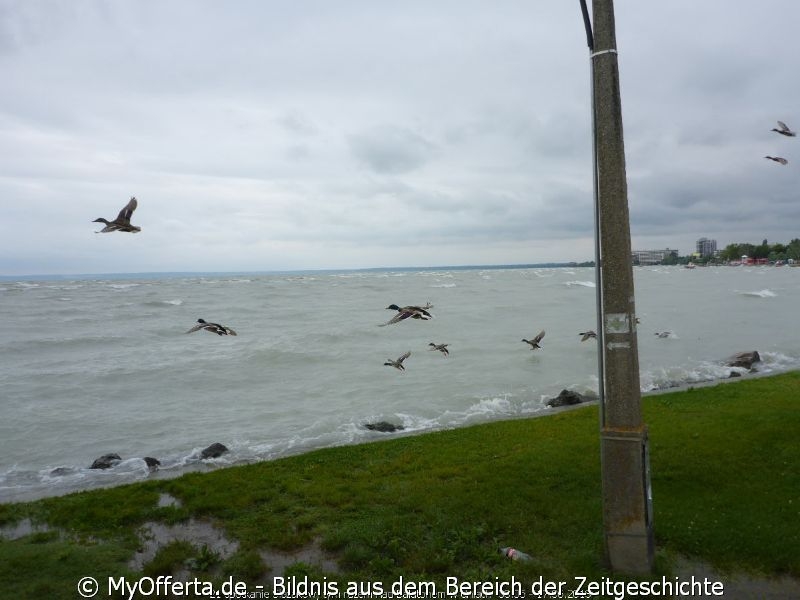 Entspannt und sicher in Siofok am Plattensee