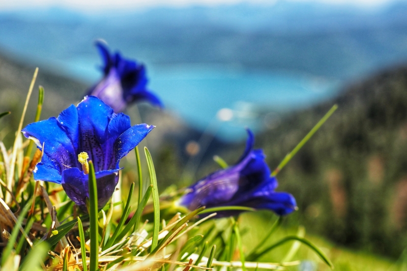 Alpine und Outdoor Fotografie