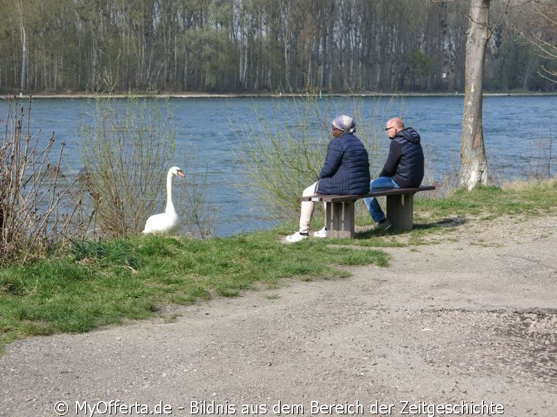 Ein Tag vor dem Frühling am Rhein in Leopoldshafen