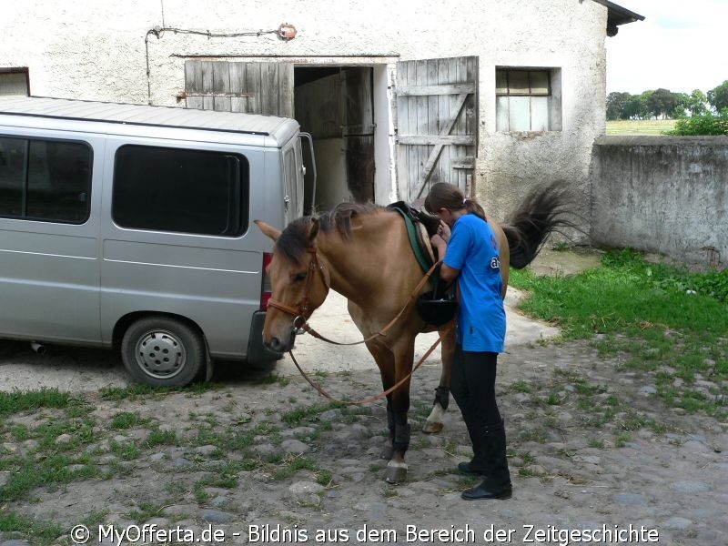 Um ein guter Tierarzt zu sein, muss man Tiere lieben