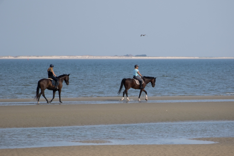 Borkum - Reisberichte