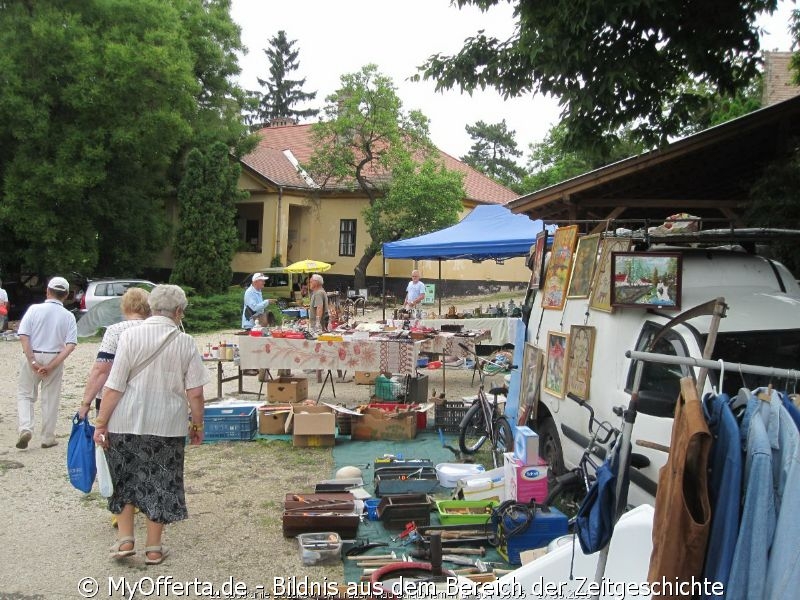 Ich gehe gerne auf viele Messen, aber der Flohmarkt ist etwas Besonderes