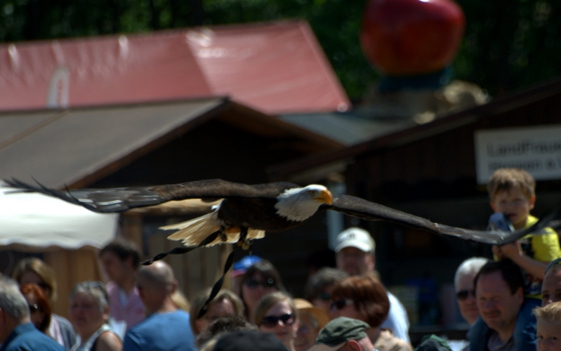 55. Hessentag in der Dornröschenstadt Hofgeismar 