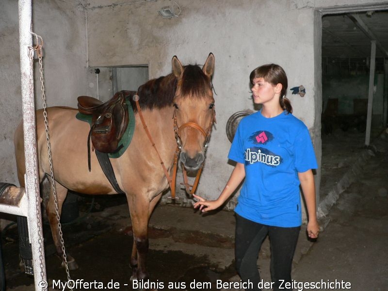 Um ein guter Tierarzt zu sein, muss man Tiere lieben