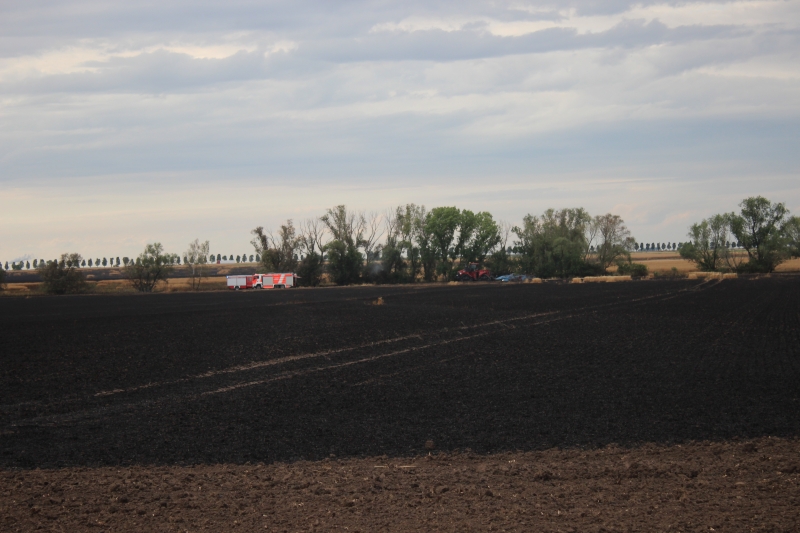 Feldbrand Bothfeld (17.07.2023) Burgenlandkreis 