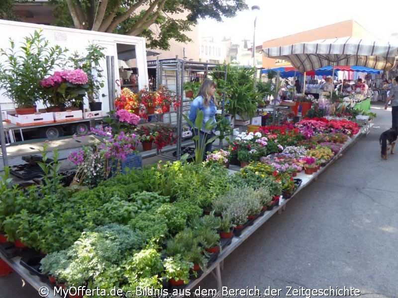 Der Sonntagszigeunermarkt in Tordera, Katalonien, Spanien