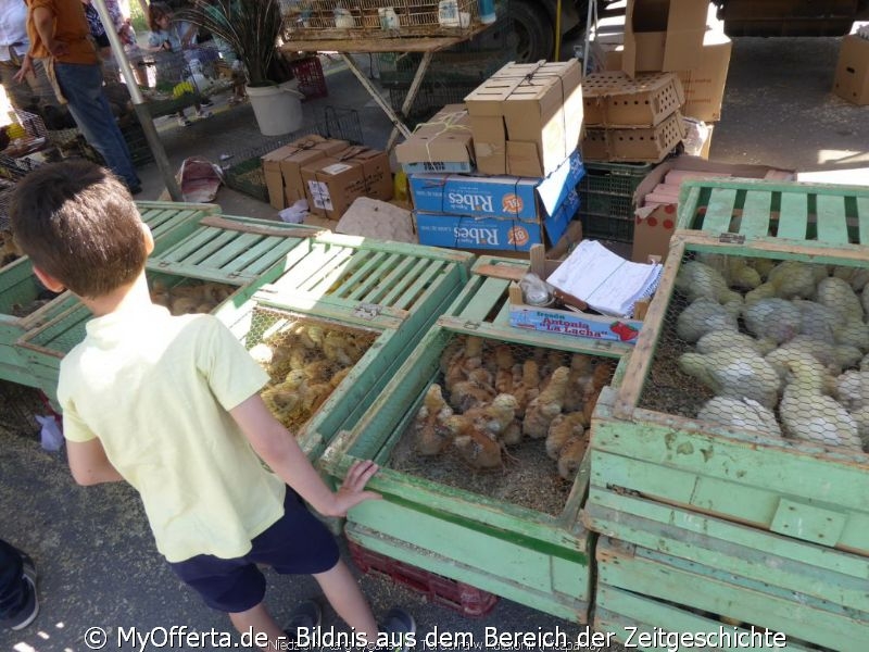 Der Sonntagszigeunermarkt in Tordera, Katalonien, Spanien