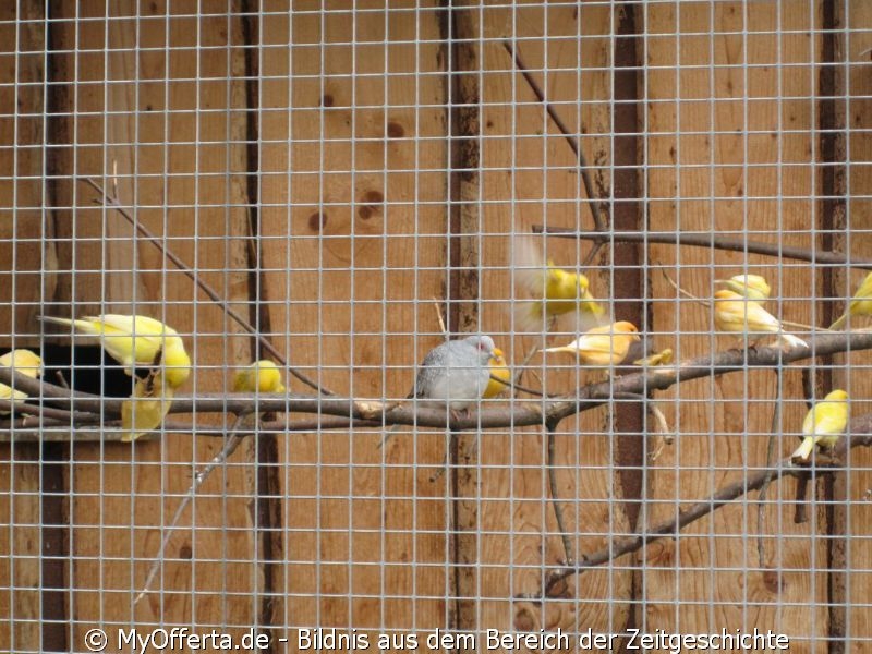 Vogelpark Linkenheim am 28.10.2019