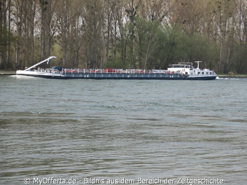 Ein Tag vor dem Frühling am Rhein in Leopoldshafen