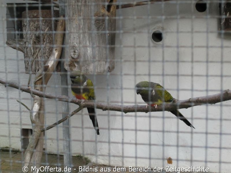 Vogelpark Linkenheim am 28.10.2019