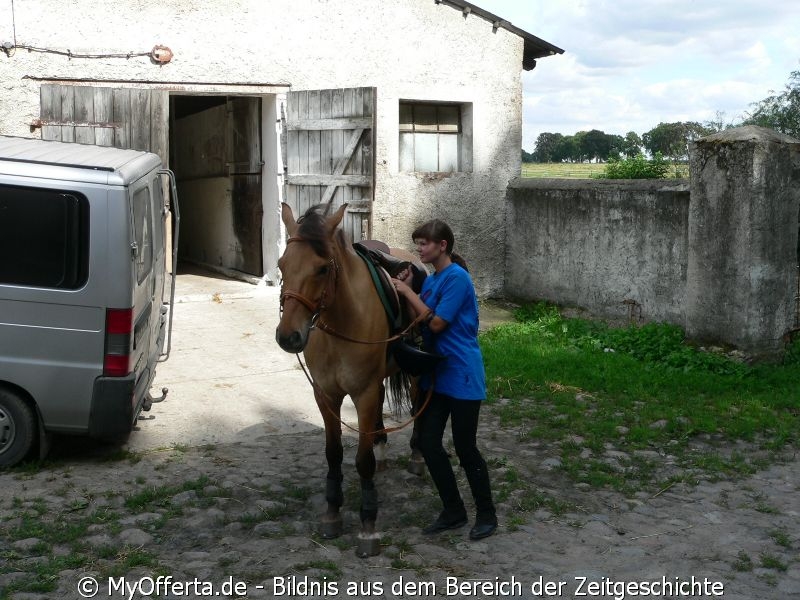 Um ein guter Tierarzt zu sein, muss man Tiere lieben