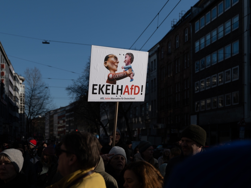 Demo gegen die AFD Düsseldorf