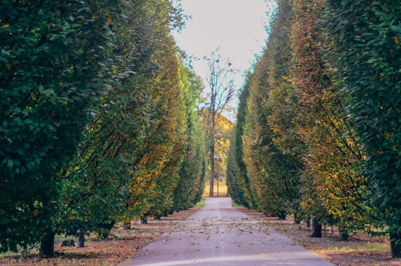 Öhringen im Herbst