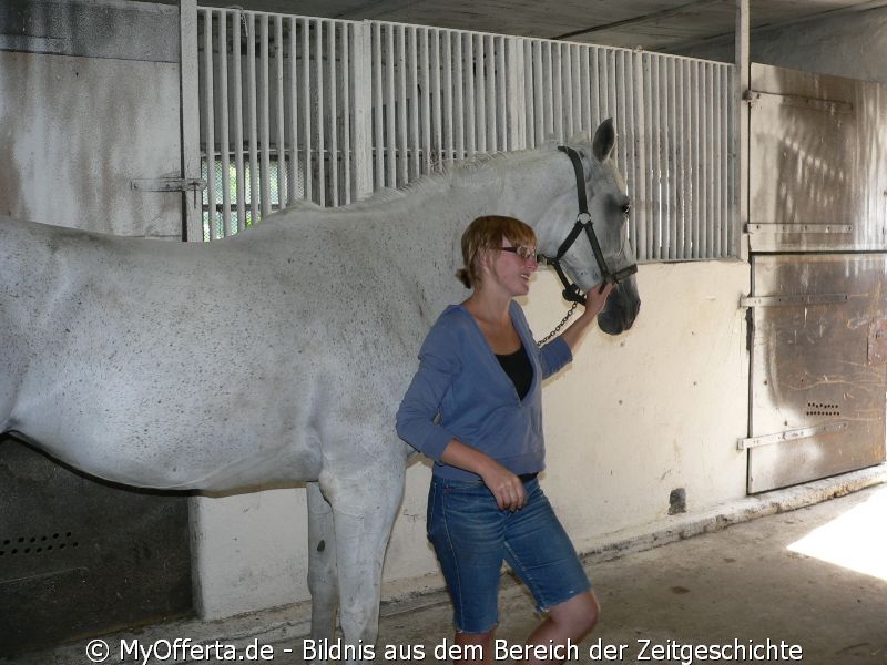 Um ein guter Tierarzt zu sein, muss man Tiere lieben