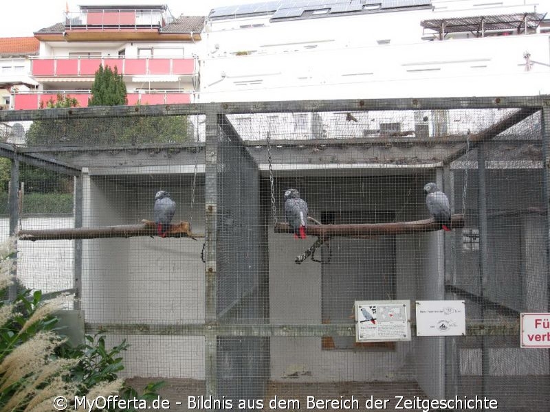 Vogelpark Linkenheim am 28.10.2019