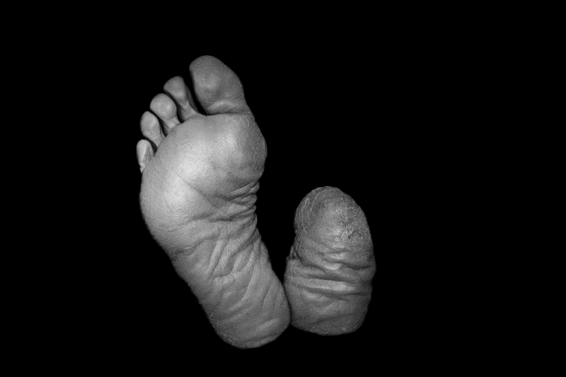 After the Guns Fell Silent 