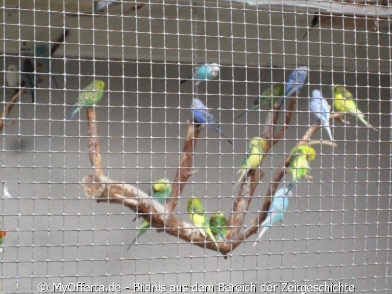 Vogelpark Linkenheim am 28.10.2019