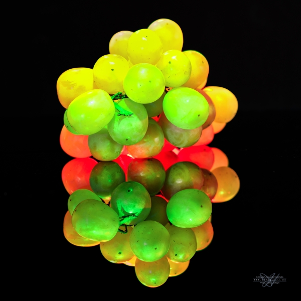 Bilderauswahl Bilderauswahl