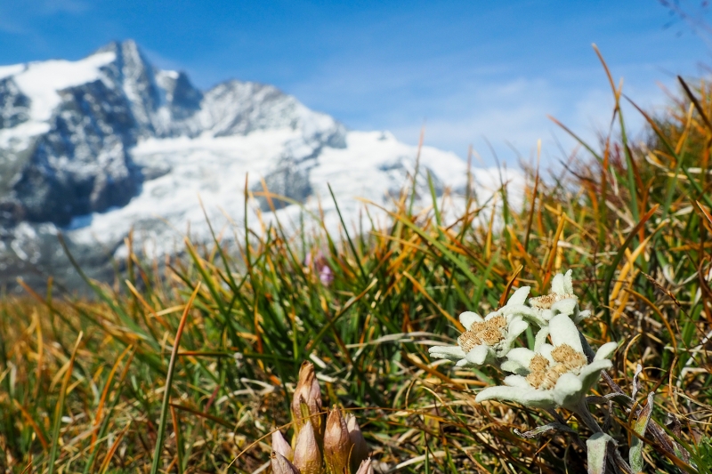 Alpine und Outdoor Fotografie