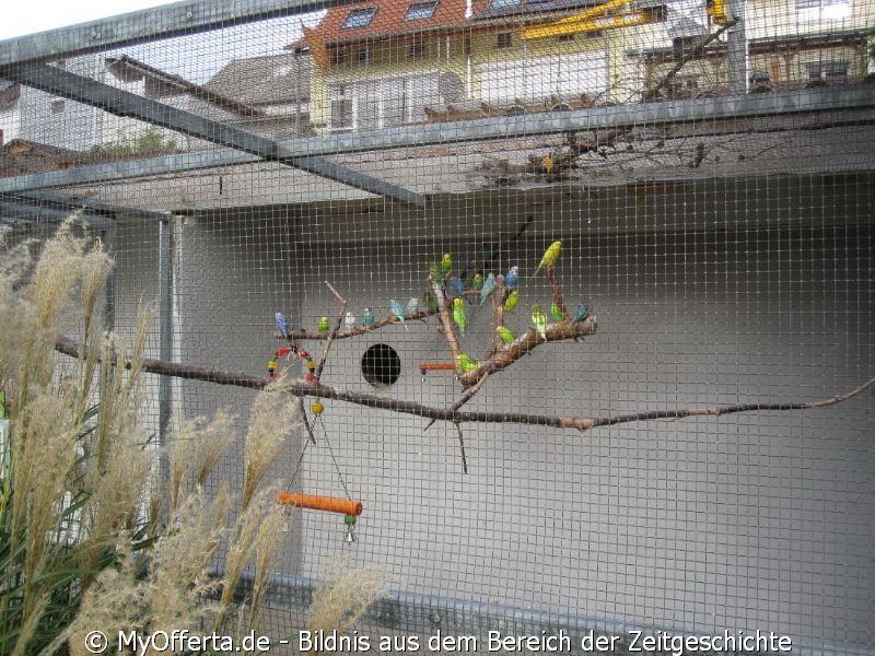 Vogelpark Linkenheim am 28.10.2019