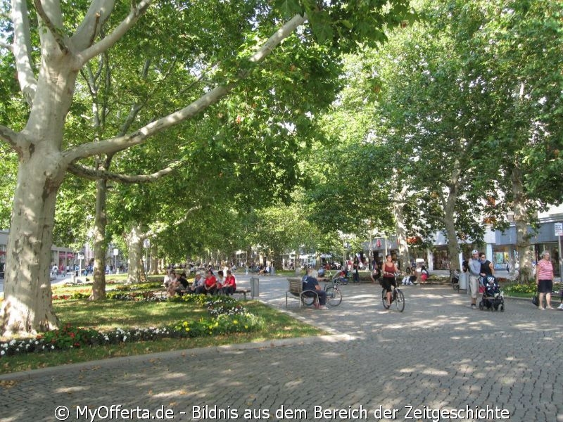 Hauptstraße in Dresden im Sommer 2019