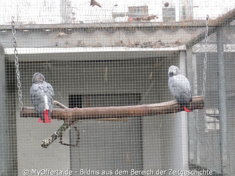 Vogelpark Linkenheim am 28.10.2019