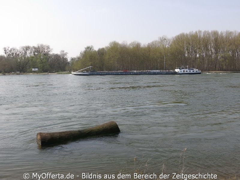 Ein Tag vor dem Frühling am Rhein in Leopoldshafen