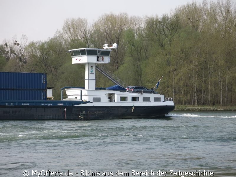 Ein Tag vor dem Frühling am Rhein in Leopoldshafen