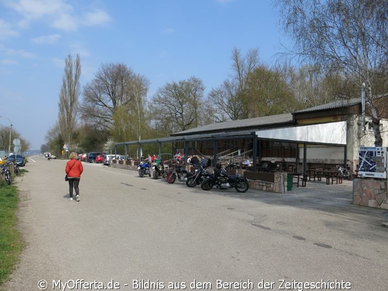 Ein Tag vor dem Frühling am Rhein in Leopoldshafen