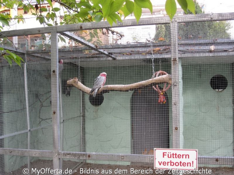 Vogelpark Linkenheim am 28.10.2019