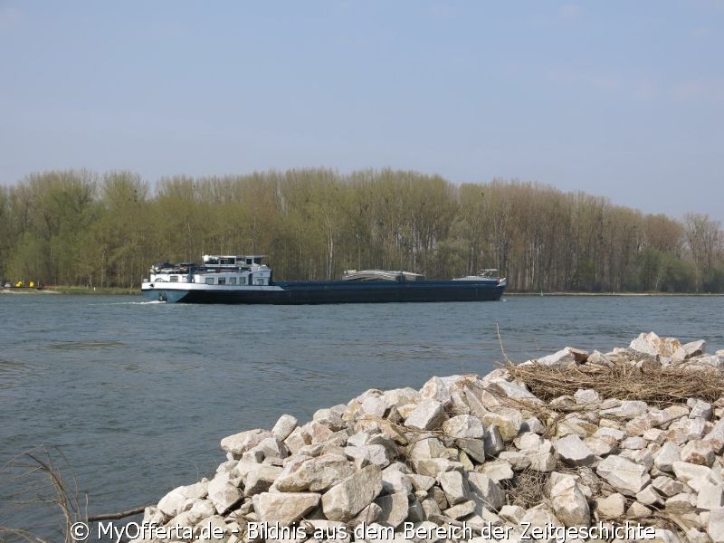 Ein Tag vor dem Frühling am Rhein in Leopoldshafen