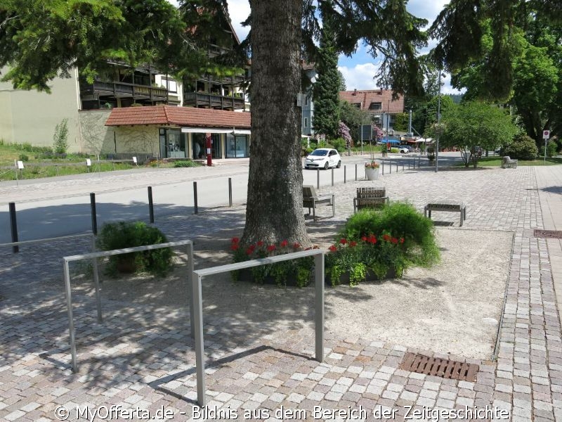 Das Schwarzwaldstädtchen Bad Herrenalb im idyllischen Albtal