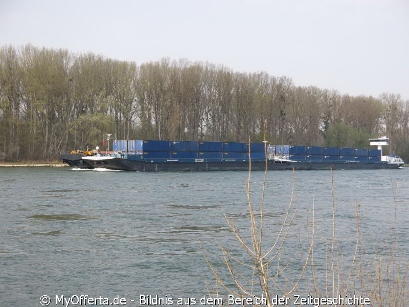 Ein Tag vor dem Frühling am Rhein in Leopoldshafen