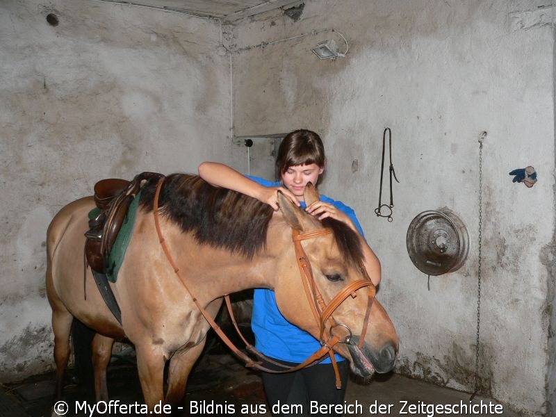 Um ein guter Tierarzt zu sein, muss man Tiere lieben