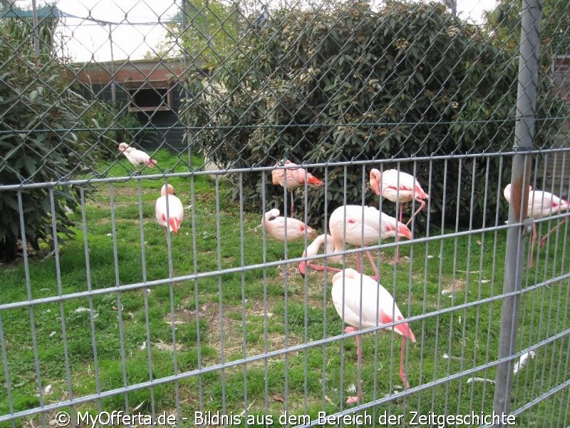 Vogelpark Linkenheim am 28.10.2019