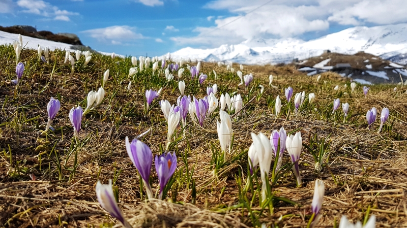 Alpine und Outdoor Fotografie