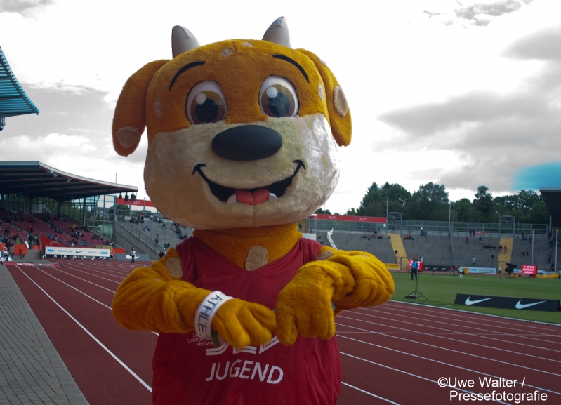 deutsche Meisterschaften der Leichtathleten in Kassel 2016