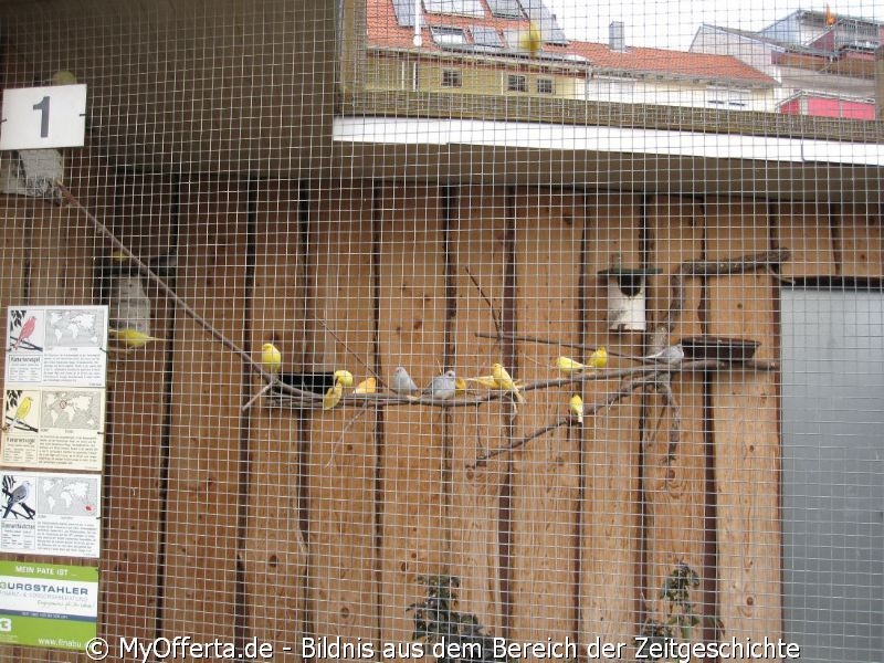 Vogelpark Linkenheim am 28.10.2019