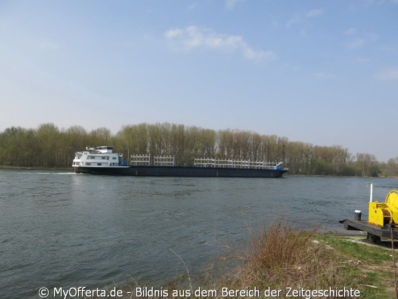 Ein Tag vor dem Frühling am Rhein in Leopoldshafen